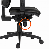 Powerton ergonomická židle Hana